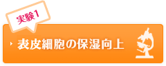 実験1 皮脂細胞の保湿向上