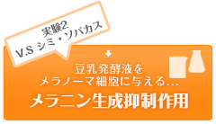 実験2V.S シミ・ソバカス 豆乳発酵液をメラノーマ細胞に与える...メラニン生成抑制作用