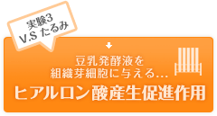 実験3V.S たるみ 豆乳発酵液を組織芽細胞に与える...ヒアルロン酸産生促進作用